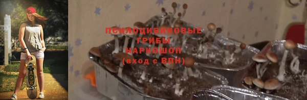 синтетический гашиш Козловка