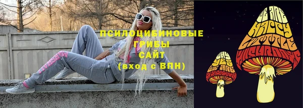 мдпв Киреевск
