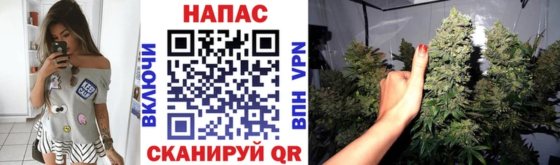 MEGA маркетплейс  Костерёво  Шишки марихуана White Widow 